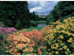 Pruhonice - Park und Schloss (UNESCO)