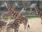 ZOO Prag