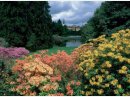 Pruhonice Park und Schloss
