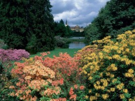 Pruhonice - Blütenschlosspark